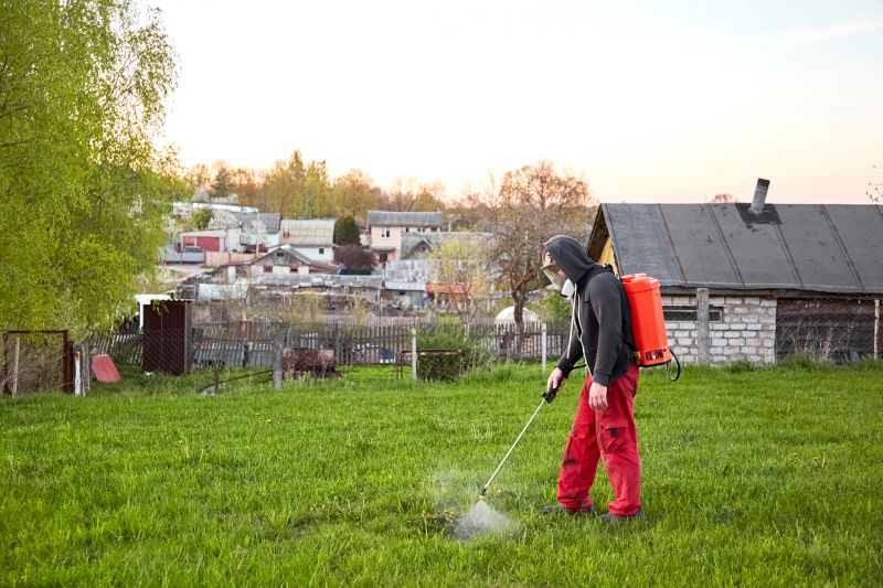 Lawn Insect Spraying